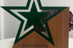 Premios-Procare-3